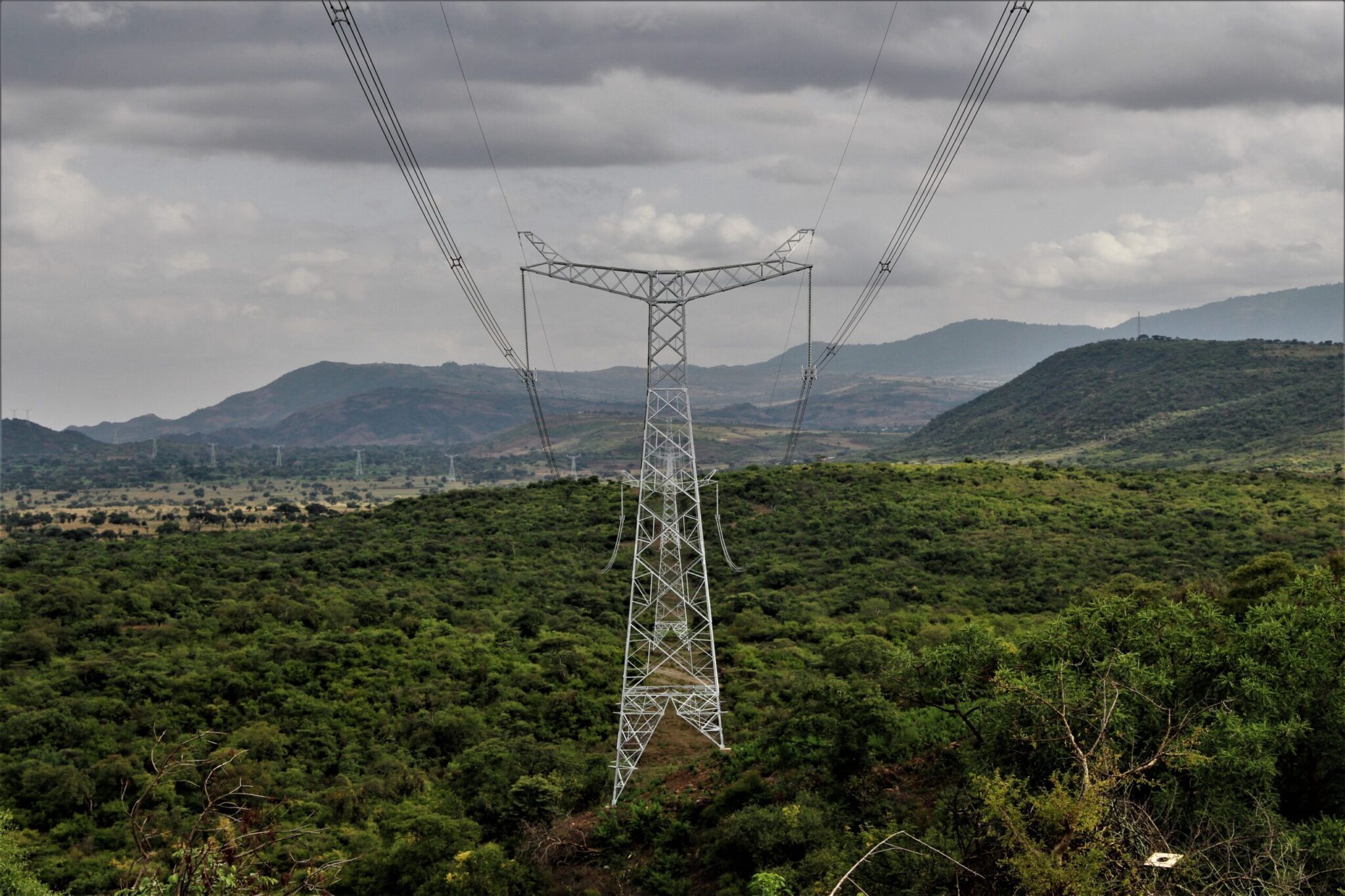 Transmission <br>and Distribution