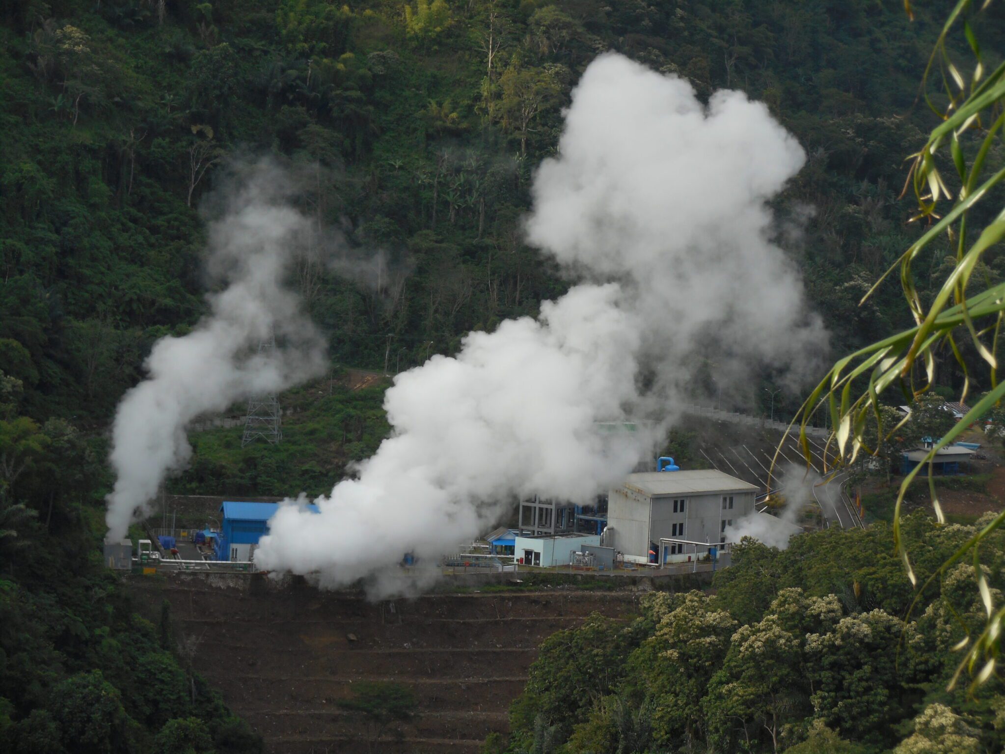 Geothermal power plant in a forested area emitting steam from multiple outlets