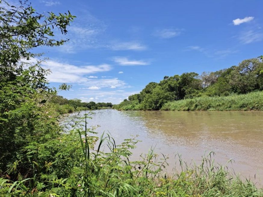 River landscape with lush vegetation near the Uganda–South Sudan border.
